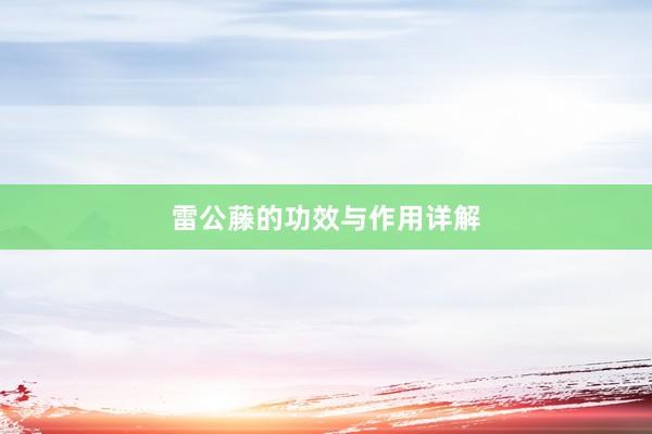 雷公藤的功效与作用详解