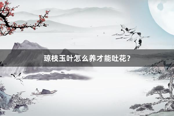 琼枝玉叶怎么养才能吐花?